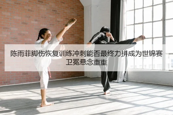 chen-yu-fei-jiao-shang-hui-fu-xun-lian-chong-ci-neng-fou-zui-zhong-li-pin-cheng-wei-shi-jin-sai-wei-mian-xuan-nian-2-603.jpg