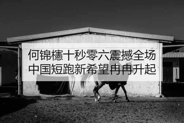 何锦櫶十秒零六震撼全场 中国短跑新希望冉冉升起